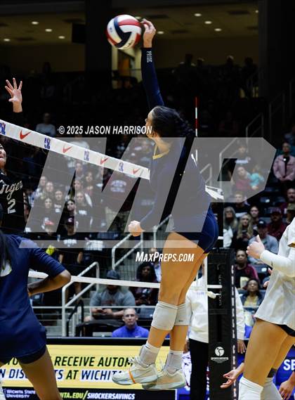 Thumbnail 2 in A&M Consolidated vs. Dallas Highland Park (UIL 5A D2 Volleyball Final) photogallery.