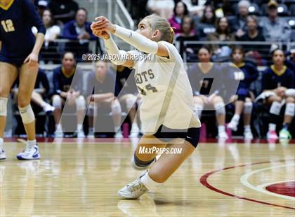 Thumbnail 1 in A&M Consolidated vs. Dallas Highland Park (UIL 5A D2 Volleyball Final) photogallery.