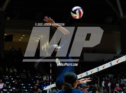 Thumbnail 3 in A&M Consolidated vs. Dallas Highland Park (UIL 5A D2 Volleyball Final) photogallery.