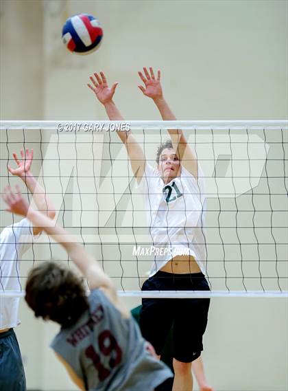 Thumbnail 2 in Ponderosa @ Whitney photogallery.