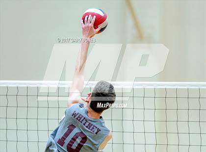 Thumbnail 1 in Ponderosa @ Whitney photogallery.