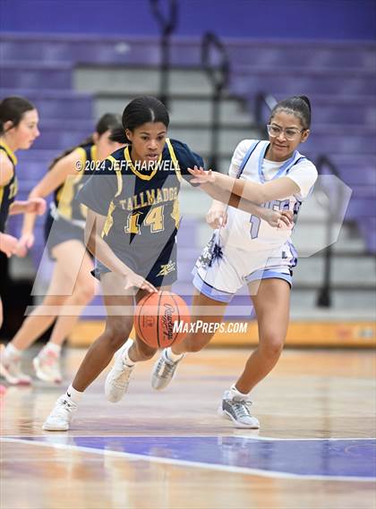Thumbnail 2 in Tallmadge @ Barberton photogallery.