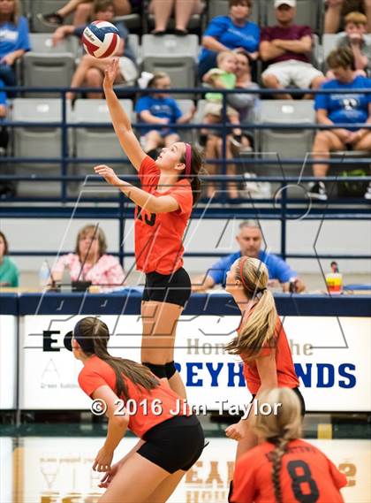 Thumbnail 1 in Springtown @ Peaster photogallery.