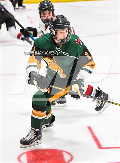 Thumbnail 3 in Campo Verde vs Mountain Ridge (AHSHA D2) photogallery.