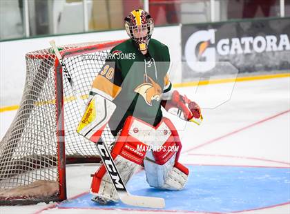 Thumbnail 3 in Campo Verde vs Mountain Ridge (AHSHA D2) photogallery.