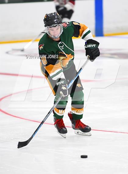 Thumbnail 3 in Campo Verde vs Mountain Ridge (AHSHA D2) photogallery.