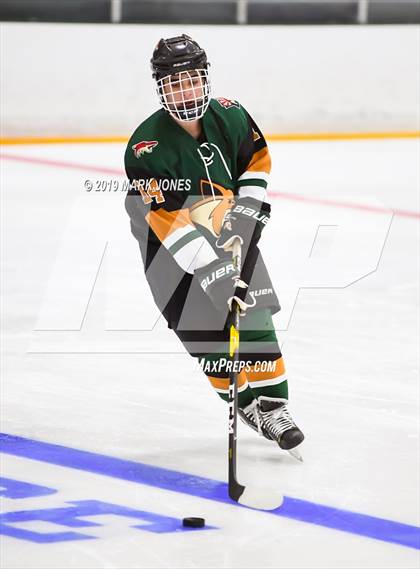 Thumbnail 2 in Campo Verde vs Mountain Ridge (AHSHA D2) photogallery.
