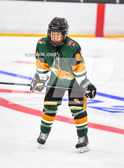 Thumbnail 3 in Campo Verde vs Mountain Ridge (AHSHA D2) photogallery.