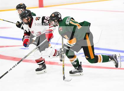 Thumbnail 1 in Campo Verde vs Mountain Ridge (AHSHA D2) photogallery.
