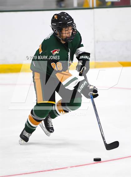 Thumbnail 2 in Campo Verde vs Mountain Ridge (AHSHA D2) photogallery.