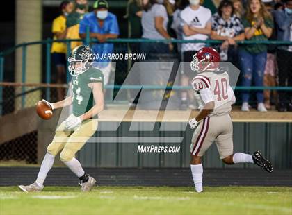 Thumbnail 1 in Jasper @ Little Cypress-Mauriceville photogallery.