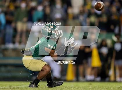 Thumbnail 2 in Jasper @ Little Cypress-Mauriceville photogallery.