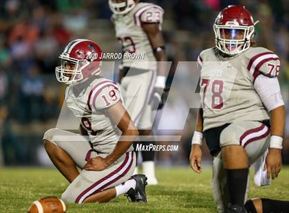 Thumbnail 2 in Jasper @ Little Cypress-Mauriceville photogallery.