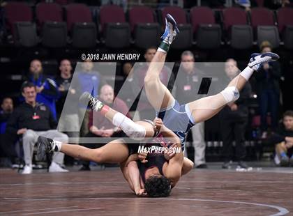 Thumbnail 2 in NIAA State Wrestling Championships photogallery.