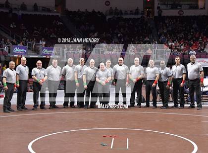 Thumbnail 2 in NIAA State Wrestling Championships photogallery.