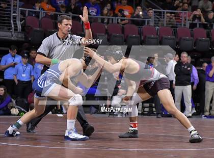 Thumbnail 2 in NIAA State Wrestling Championships photogallery.