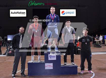 Thumbnail 2 in NIAA State Wrestling Championships photogallery.