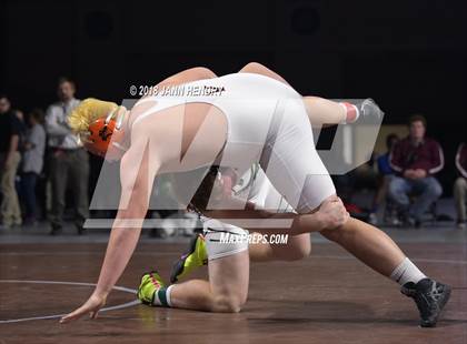 Thumbnail 3 in NIAA State Wrestling Championships photogallery.