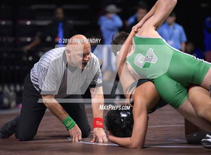 Thumbnail 1 in NIAA State Wrestling Championships photogallery.