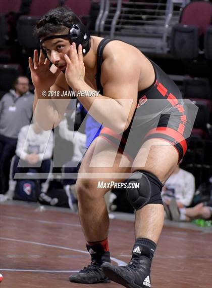 Thumbnail 1 in NIAA State Wrestling Championships photogallery.