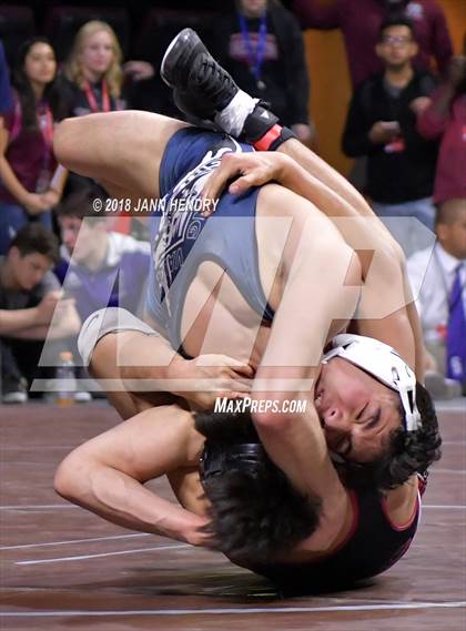 Thumbnail 1 in NIAA State Wrestling Championships photogallery.