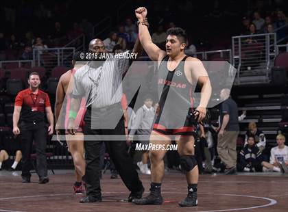Thumbnail 1 in NIAA State Wrestling Championships photogallery.