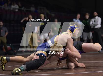 Thumbnail 3 in NIAA State Wrestling Championships photogallery.