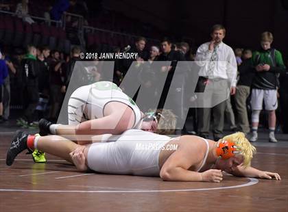 Thumbnail 3 in NIAA State Wrestling Championships photogallery.