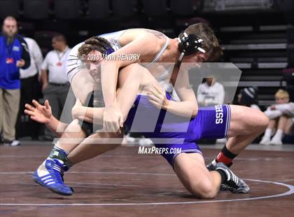 Thumbnail 1 in NIAA State Wrestling Championships photogallery.