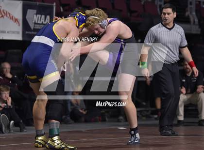 Thumbnail 2 in NIAA State Wrestling Championships photogallery.