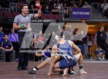 Thumbnail 1 in NIAA State Wrestling Championships photogallery.