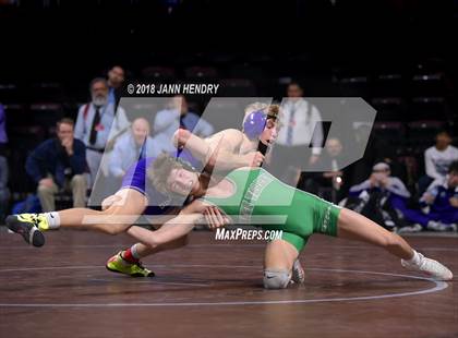 Thumbnail 1 in NIAA State Wrestling Championships photogallery.