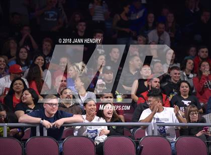 Thumbnail 2 in NIAA State Wrestling Championships photogallery.