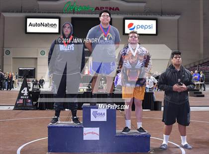 Thumbnail 1 in NIAA State Wrestling Championships photogallery.