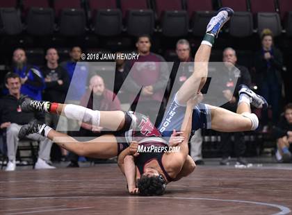 Thumbnail 3 in NIAA State Wrestling Championships photogallery.