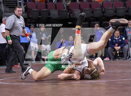 Thumbnail 1 in NIAA State Wrestling Championships photogallery.