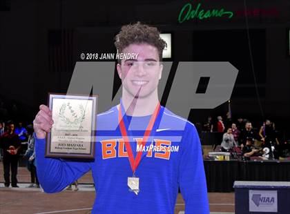Thumbnail 1 in NIAA State Wrestling Championships photogallery.