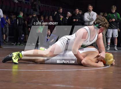 Thumbnail 1 in NIAA State Wrestling Championships photogallery.