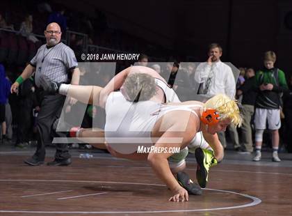 Thumbnail 2 in NIAA State Wrestling Championships photogallery.