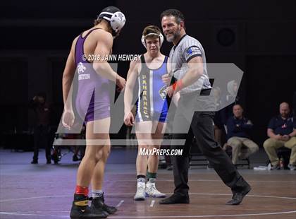 Thumbnail 2 in NIAA State Wrestling Championships photogallery.