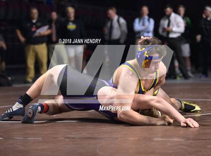 Thumbnail 1 in NIAA State Wrestling Championships photogallery.