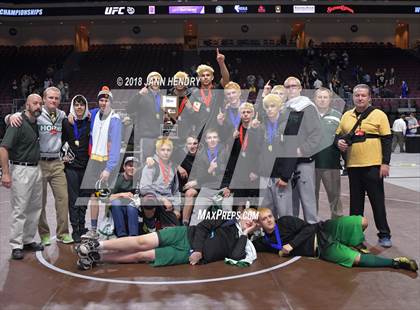 Thumbnail 2 in NIAA State Wrestling Championships photogallery.
