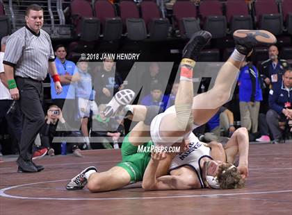 Thumbnail 3 in NIAA State Wrestling Championships photogallery.