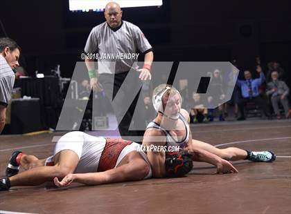 Thumbnail 2 in NIAA State Wrestling Championships photogallery.