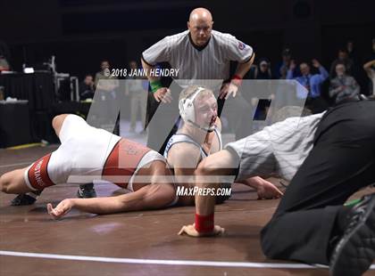 Thumbnail 1 in NIAA State Wrestling Championships photogallery.