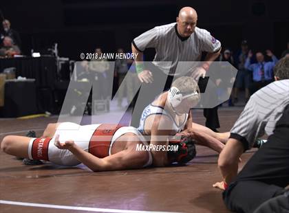 Thumbnail 3 in NIAA State Wrestling Championships photogallery.