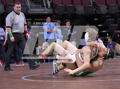 Thumbnail 3 in NIAA State Wrestling Championships photogallery.