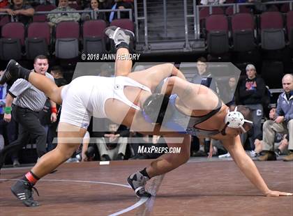 Thumbnail 1 in NIAA State Wrestling Championships photogallery.