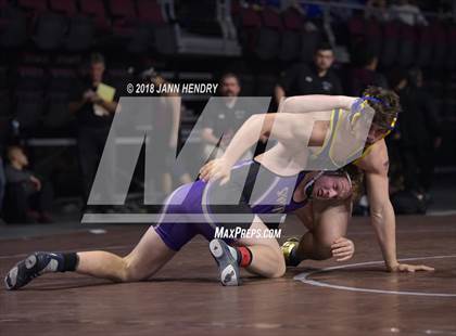 Thumbnail 2 in NIAA State Wrestling Championships photogallery.
