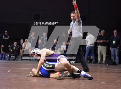 Thumbnail 3 in NIAA State Wrestling Championships photogallery.
